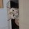 ともじゅん